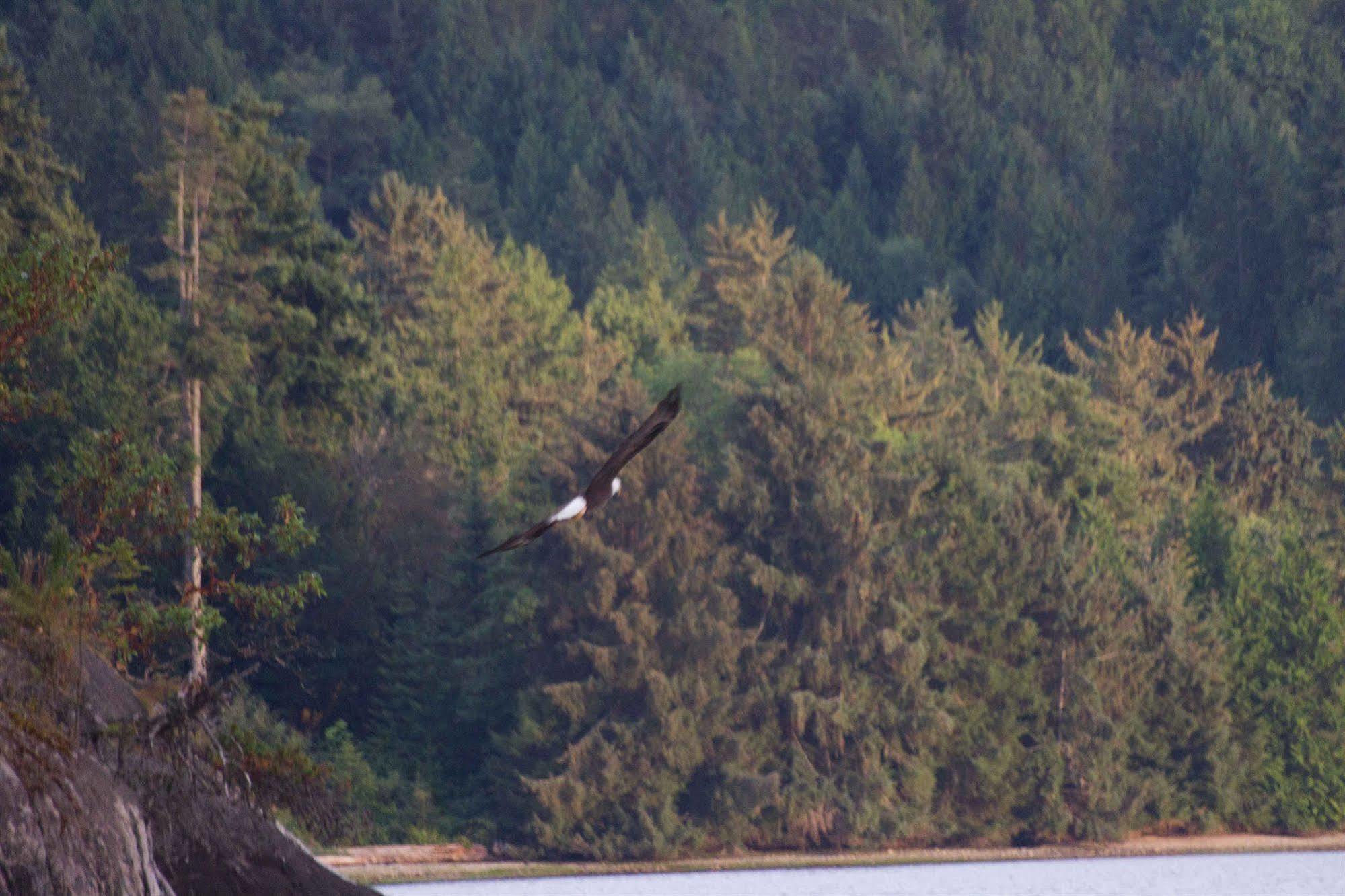 Tranquility Bay Waterfront Inn Sechelt Exterior foto