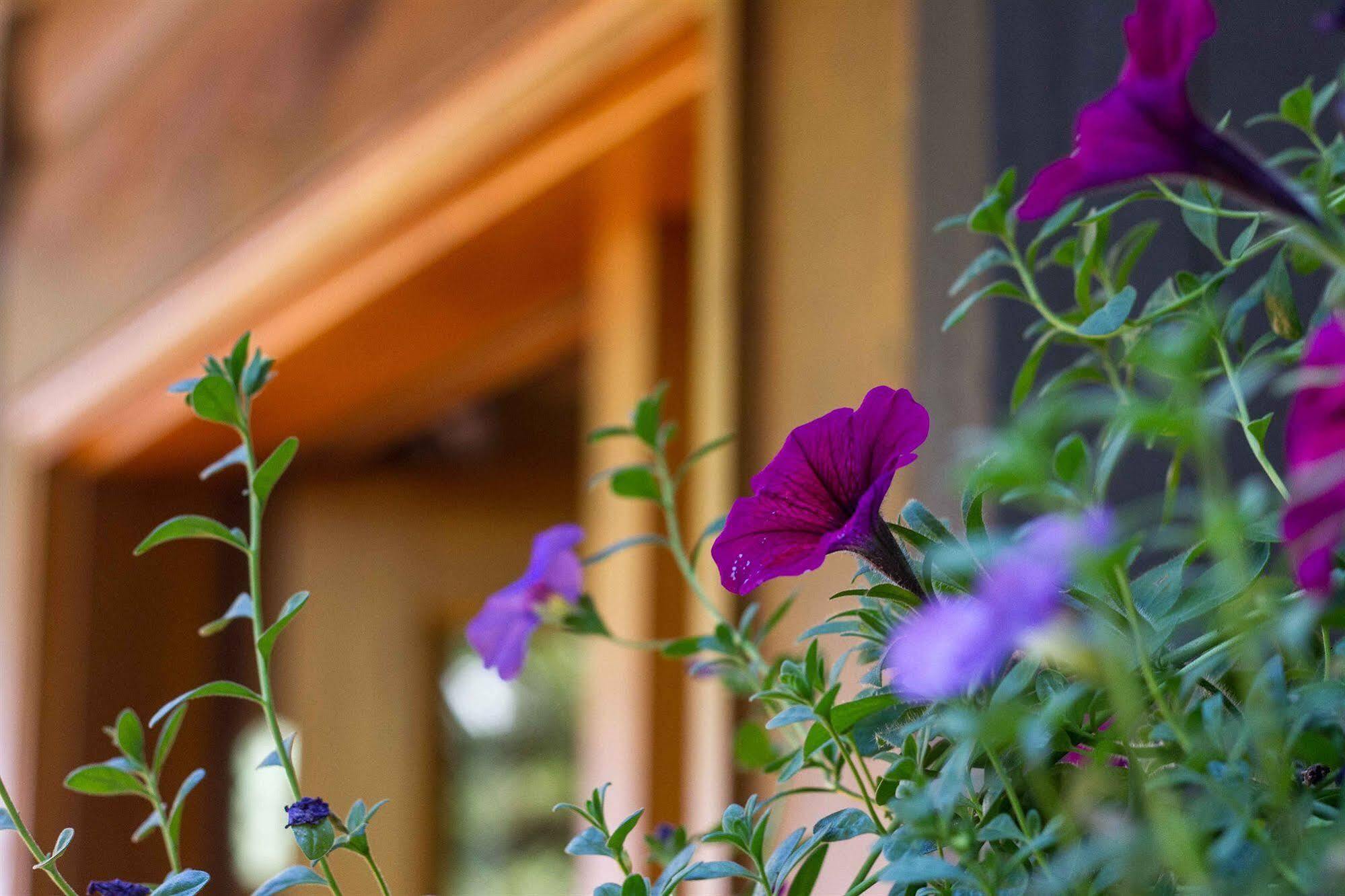 Tranquility Bay Waterfront Inn Sechelt Exterior foto